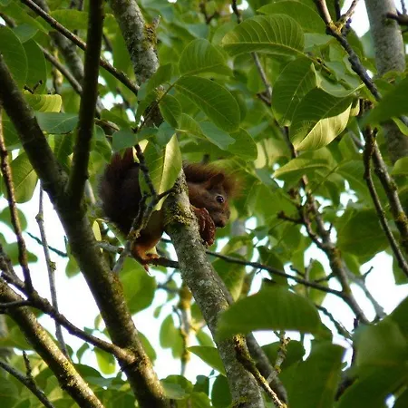 Les Chenes Verts 3* Meschers-sur-Gironde